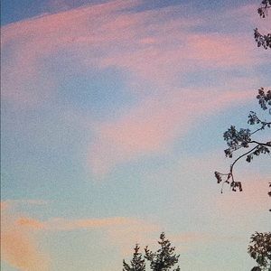 Meet your Posher, Ava